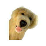 Spencer Golden Retriever plush toy close up