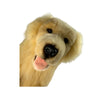 Spencer (Golden Retriever - 62cm lying)