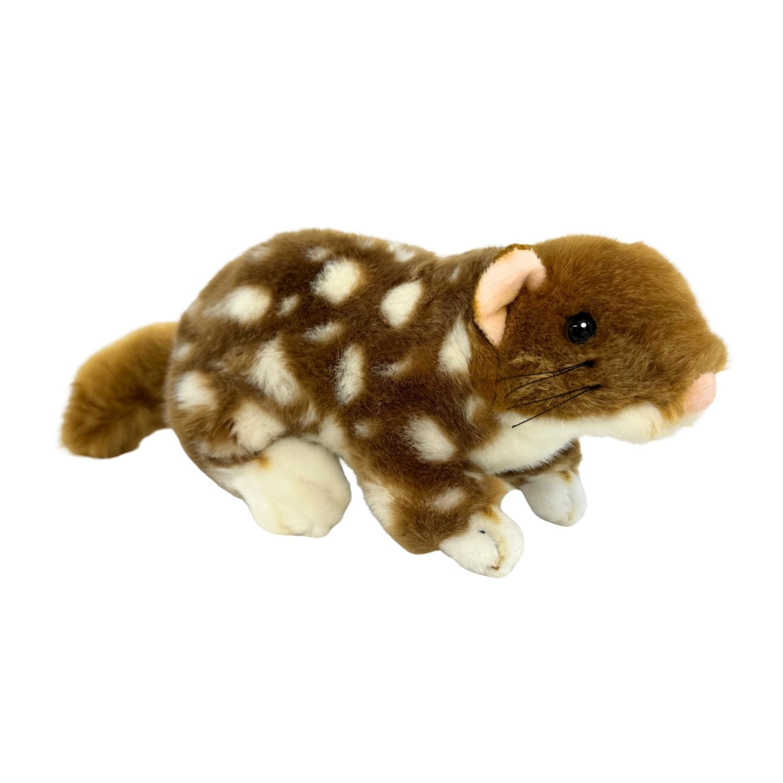 Eastern Quoll a realistic soft plush toy