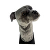 Staffy Golf Cover, Grey