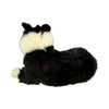 Starsky (Border Collie - 40cm lying)