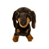 Stretch Dachshund plush toy standing front view