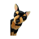 Close‑up of Taco chihuahua plush toy’s face