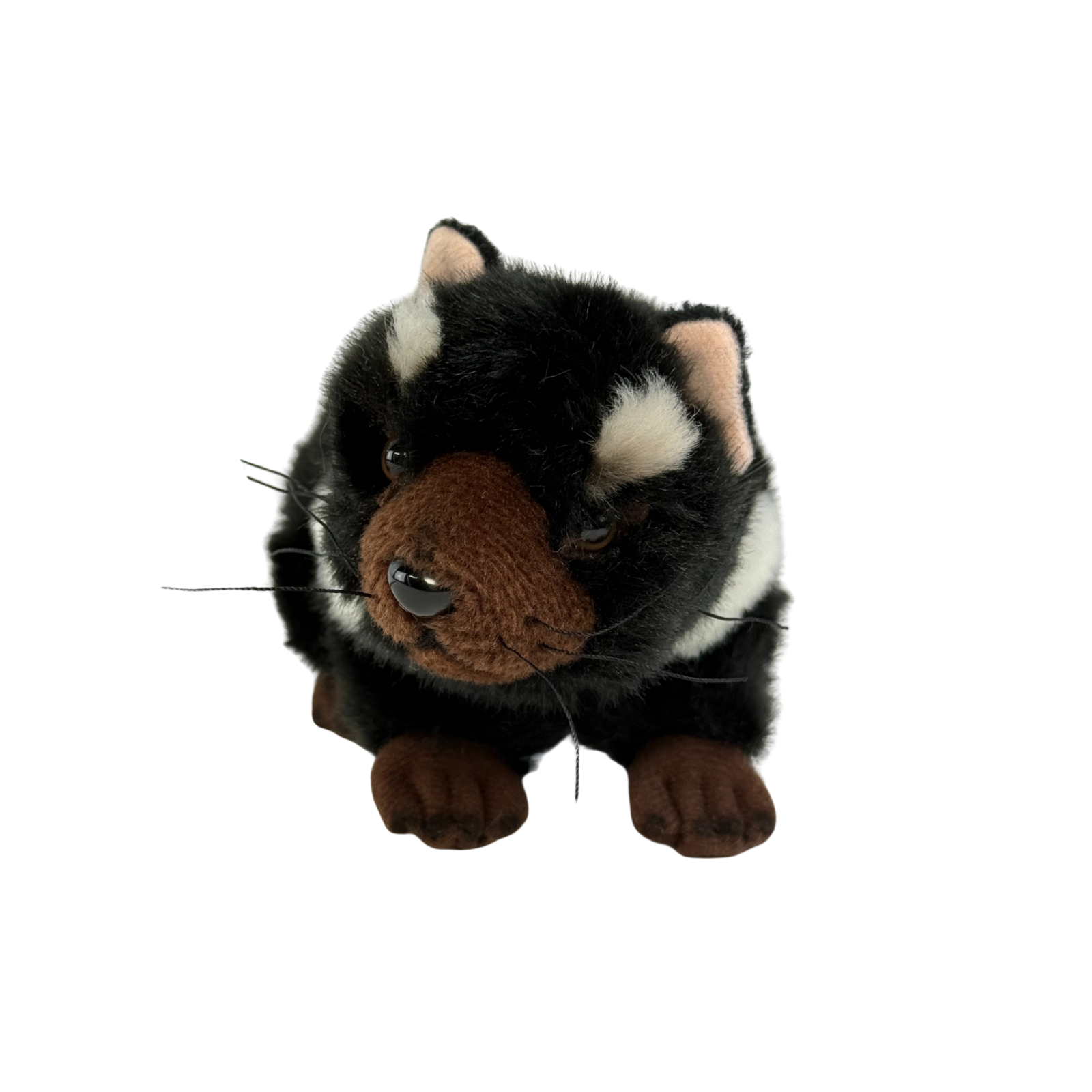Tasmanian Devil that is a handmade realistic soft plush toy
