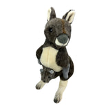 Plush toy kangaroo on a white background