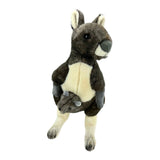 Plush toy kangaroo on a white background