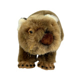 Plush Wombat toy on a white background