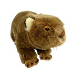 Plush toy Wombat on a white background
