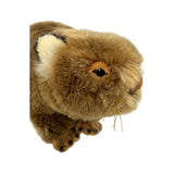 Plush toy Wombat on a white background