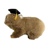 Tina wombat plush wearing graduation hat