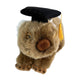 Tina wombat plush wearing graduation hat