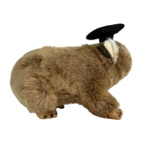 Tina wombat plush wearing graduation hat