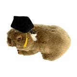 Tina wombat plush wearing graduation hat