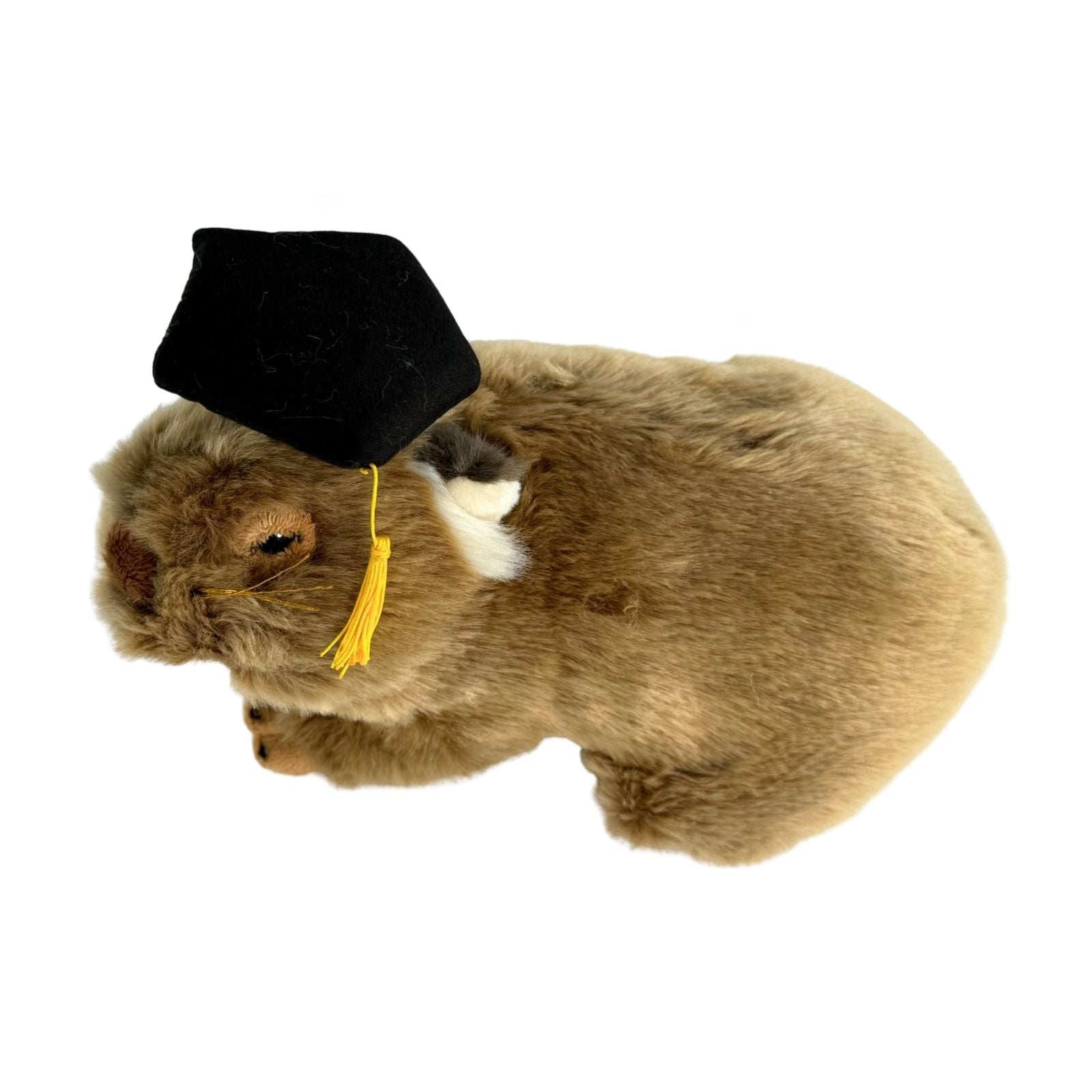 Tina wombat plush wearing graduation hat