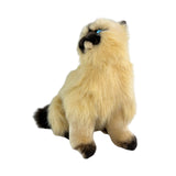 Toffee - Himalayan Cat - 34cm, sitting
