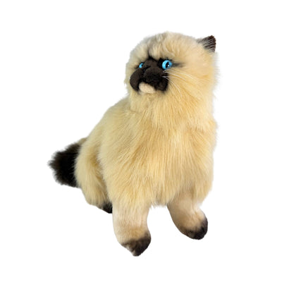 Toffee (Himalayan Cat - 34cm sitting)
