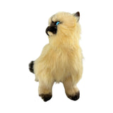 Toffee - Himalayan Cat - 34cm, sitting