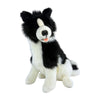 Tommy - Border Collie - 35cm sitting