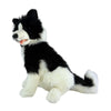 Tommy - Border Collie - 35cm sitting