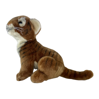 Tony - Tiger - sitting, brown