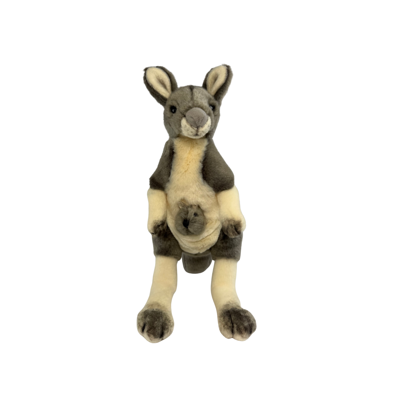Plush toy kangaroo on a white background