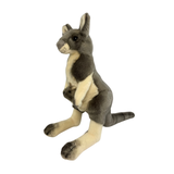 Plush toy kangaroo on a white background