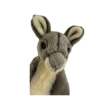 Plush toy kangaroo on a white background