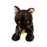 Trixie Burmese kitten plush toy front view