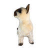 Tulip - Siamese Cat - 36cm sitting