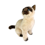 Tulip Siamese cat plush toy sitting