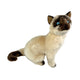Tulip Siamese cat plush toy sitting side view