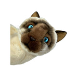 Tulip Siamese cat plush toy close up