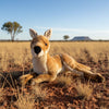 Tully (Kangaroo - 55cm lying, brown)
