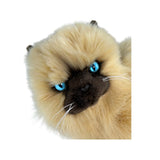 Violet - Himalayan Cat - 38cm, lying