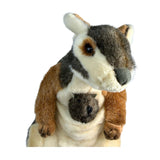 Wattle - Rock Wallaby with joey - 30cm