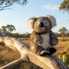 Wilber - Bocchetta Bear, Koala - 28cm sitting