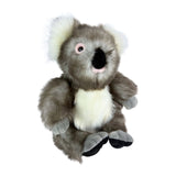 Plush toy koala on a white background