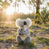 An outdoor, eye-level shot captures a plush koala toy and its joey in a sun-drenched, wooded area.