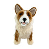 Windsor - Corgi - 23cm sitting
