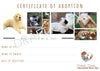 Adoption Certificate