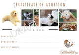Adoption Certificate