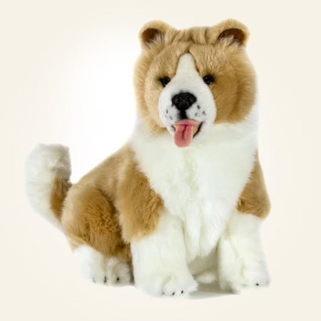Dogs