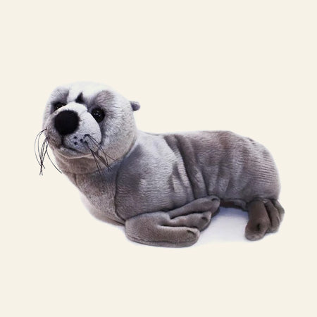 Sea Animals