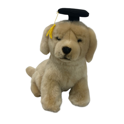 Gradhat Chanel With Graduation Hat (Golden Retriever - 26cm sitting)