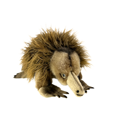 Harry (Echidna - 24cm)