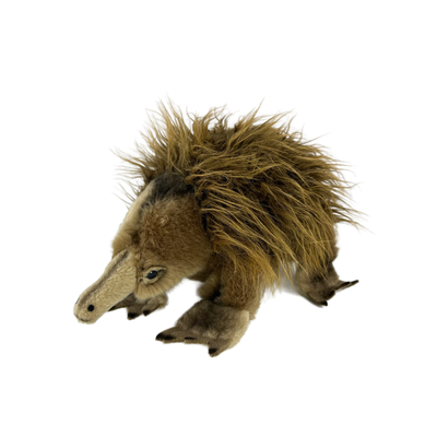 Harry (Echidna - 24cm)