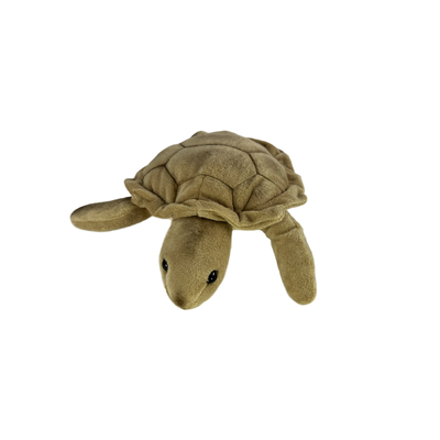 Doug (Turtle - 27cm)