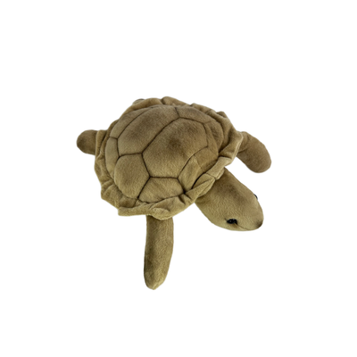 Doug (Turtle - 27cm)