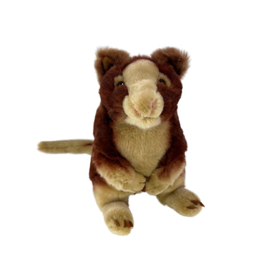 Rufus (Red Tree Kangaroo - 25cm)