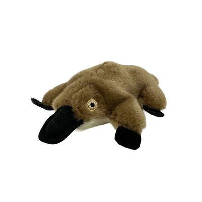 Mini Platypus (Mini platypus - 11cm)